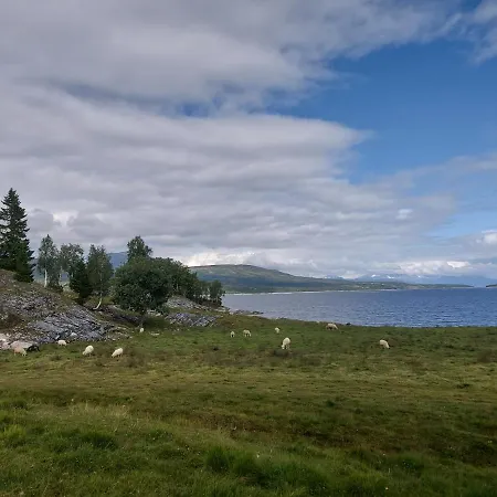 Villmarksgard, Ved Vannet *