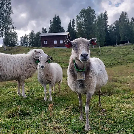 Villmarksgard, Ved Vannet Casa vacanze