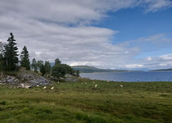 Villmarksgard, Ved Vannet *