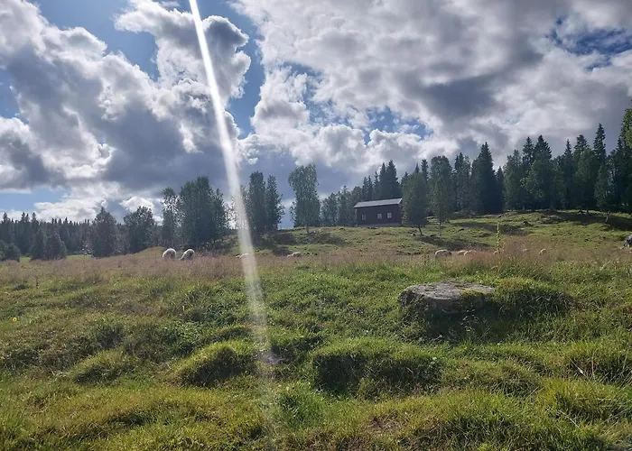Villmarksgard, Ved Vannet * Hattfjelldal